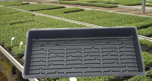吸塑育苗盤