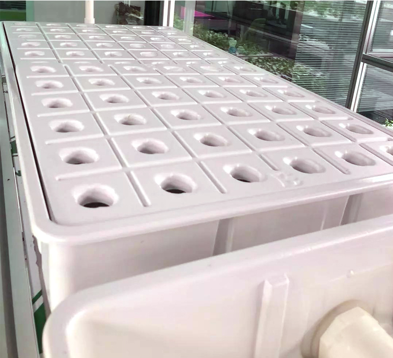 蔬菜育秧盤-塑料育秧盤